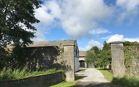 The Mews